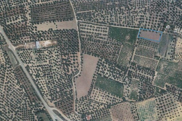 terreno agricolo in vendita a Canosa di Puglia