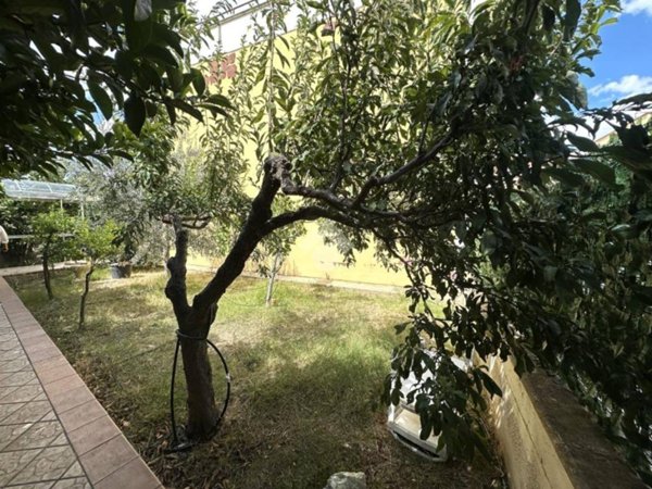 casa indipendente in vendita a Canosa di Puglia