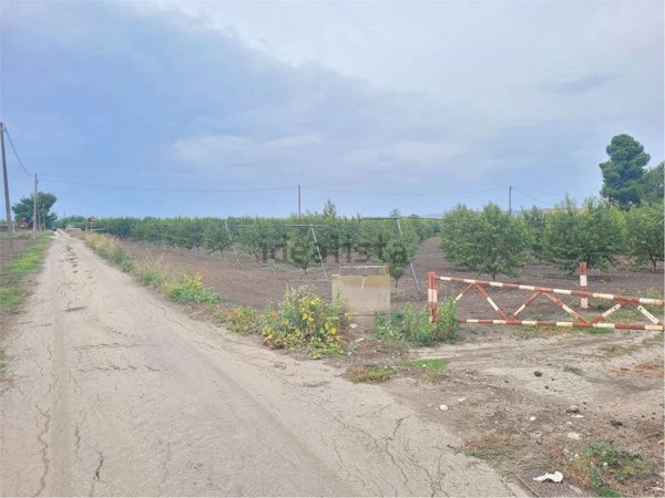 casa indipendente in vendita a Canosa di Puglia in zona Loconia