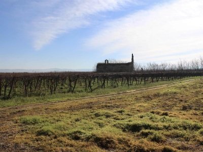 casale in vendita a Canosa di Puglia