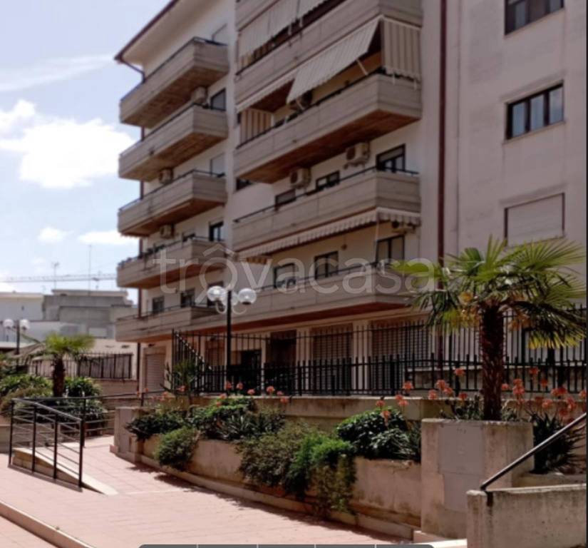 appartamento in vendita a Canosa di Puglia