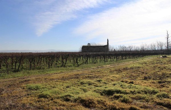casale in vendita a Canosa di Puglia