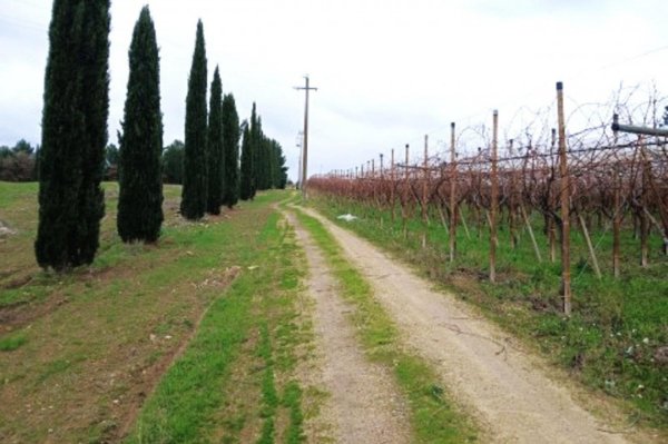terreno agricolo in vendita a Canosa di Puglia