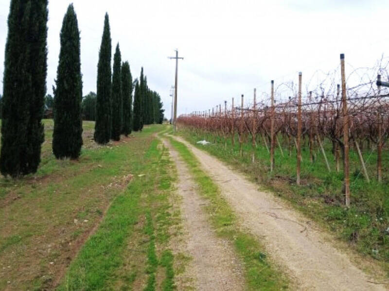 terreno agricolo in vendita a Canosa di Puglia