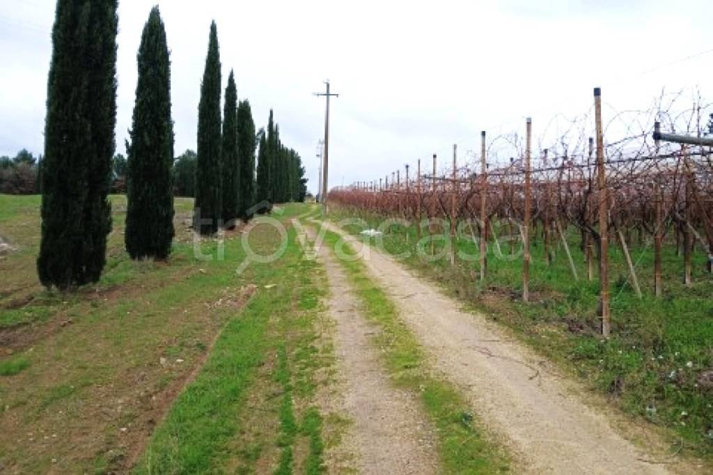 terreno agricolo in vendita a Canosa di Puglia