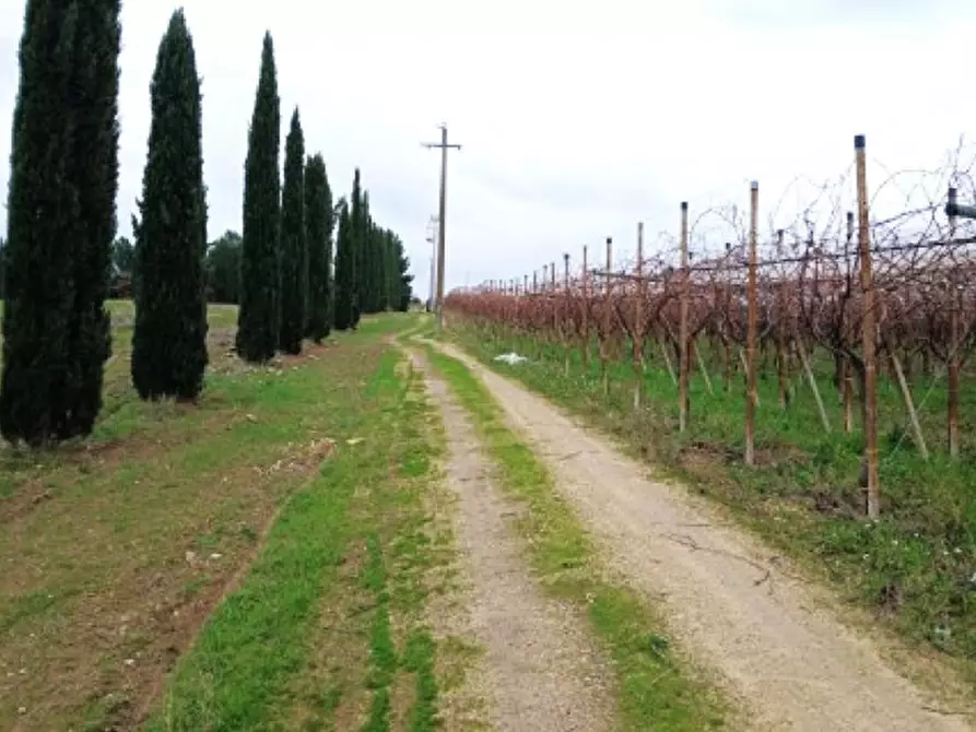 mansarda in vendita a Canosa di Puglia
