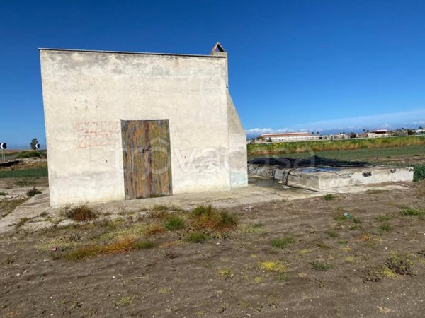 terreno agricolo in vendita a Margherita di Savoia