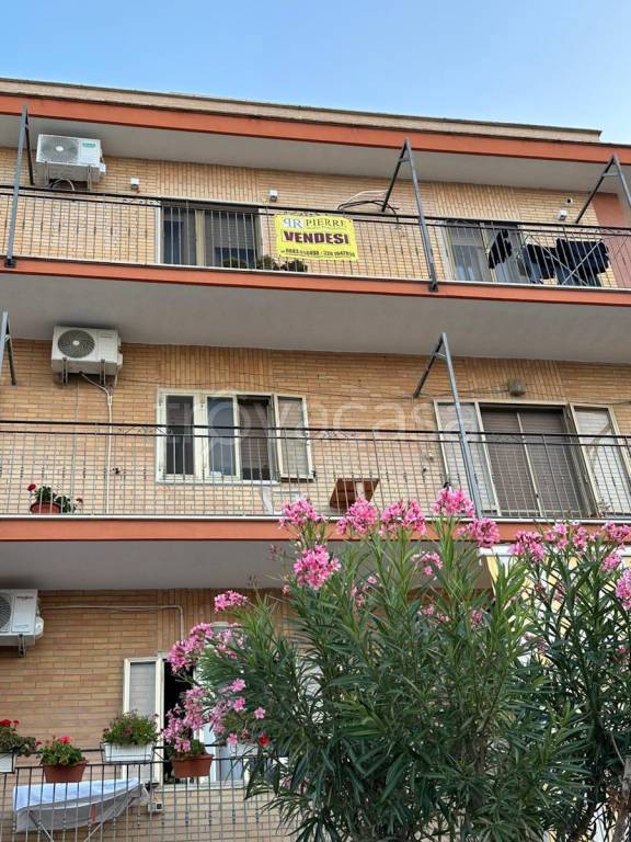 appartamento in vendita a Margherita di Savoia