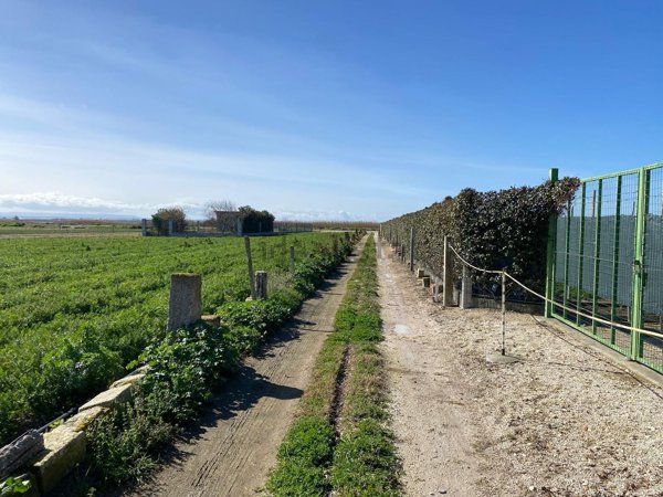 terreno edificabile in vendita a Margherita di Savoia