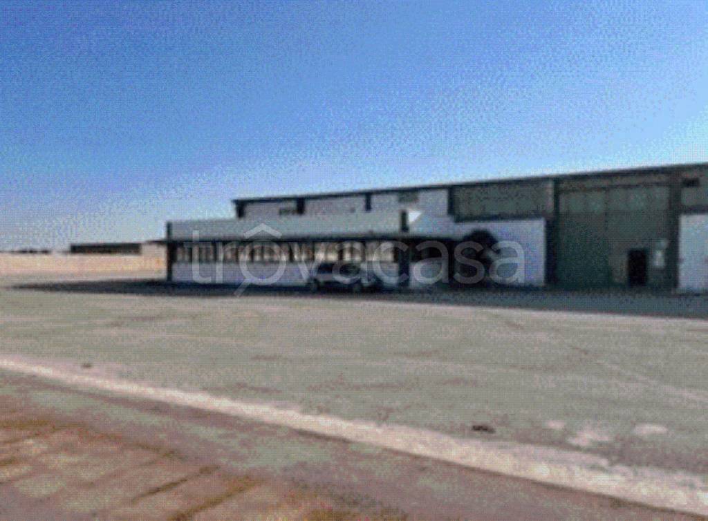 terreno edificabile in vendita a Margherita di Savoia