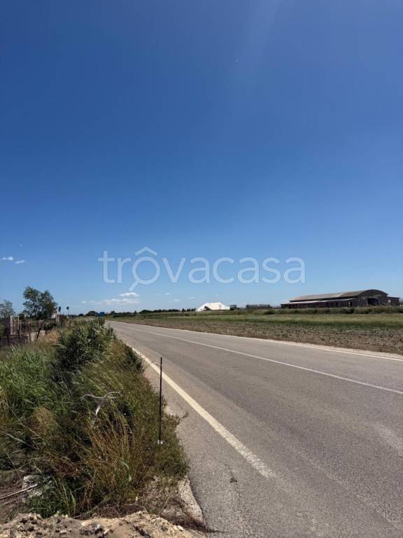 terreno agricolo in vendita a Margherita di Savoia