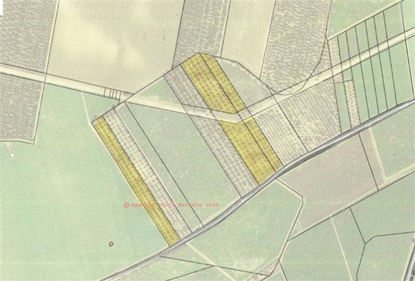 terreno agricolo in vendita a Minervino Murge