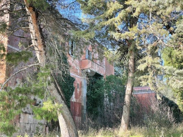 casa indipendente in vendita a Minervino Murge