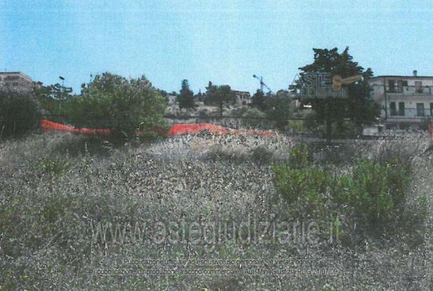 terreno edificabile in vendita a Minervino Murge