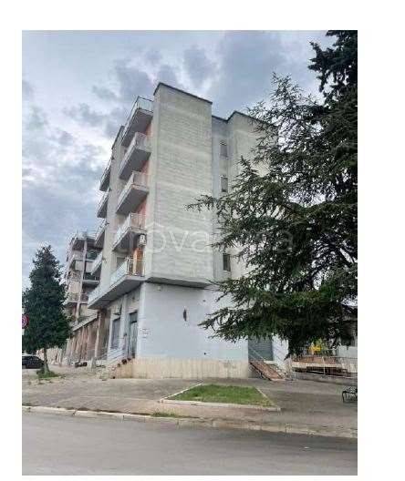 appartamento in vendita a San Ferdinando di Puglia