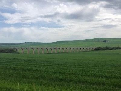 terreno agricolo in vendita a Spinazzola