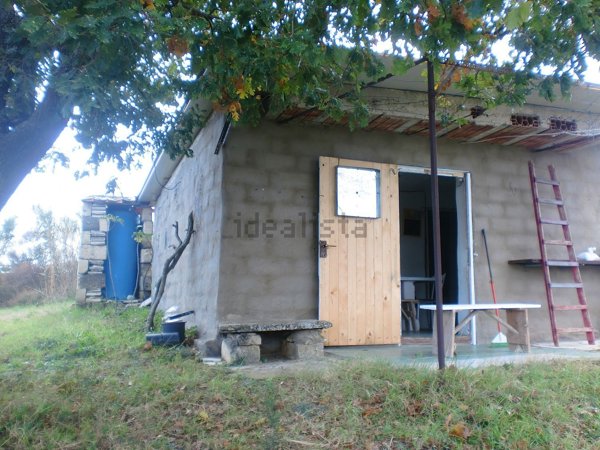 appartamento in vendita a Spinazzola