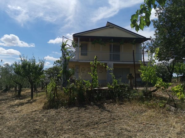 appartamento in vendita a Spinazzola