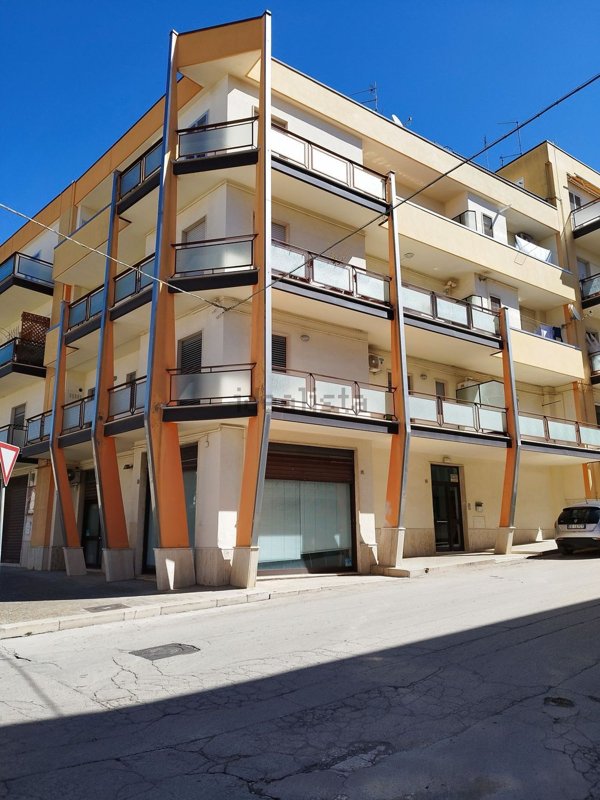 appartamento in vendita a Spinazzola