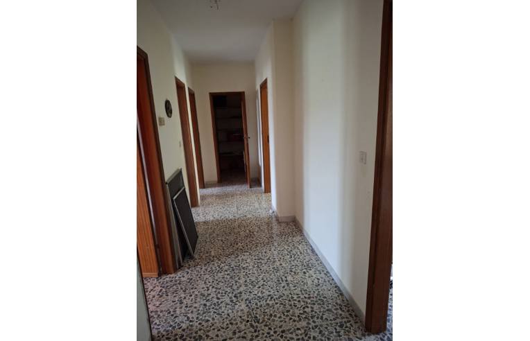 appartamento in vendita a Spinazzola