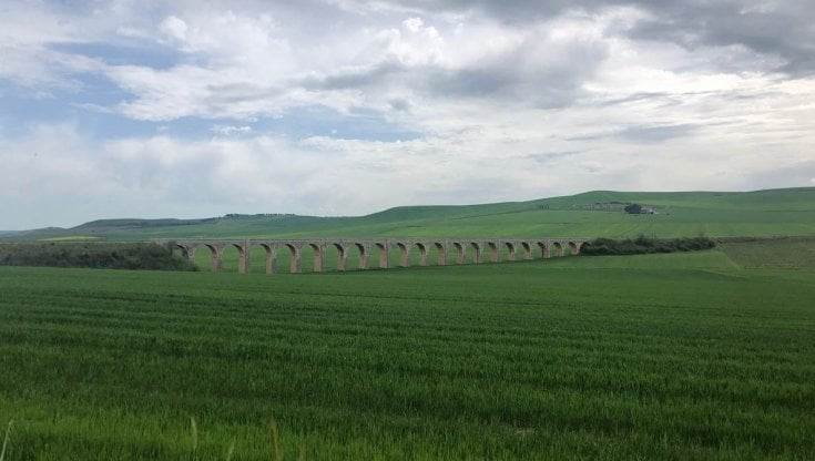 terreno agricolo in vendita a Spinazzola