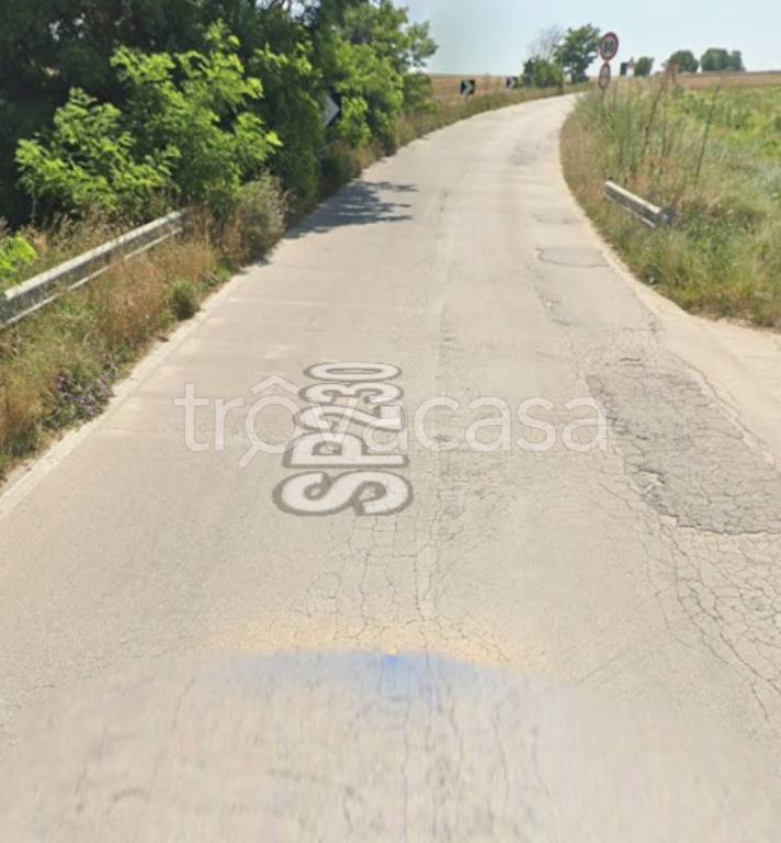 terreno agricolo in vendita a Spinazzola