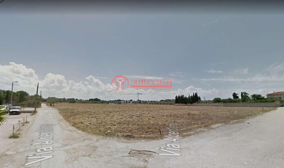 terreno agricolo in vendita a Trani in zona Capirro
