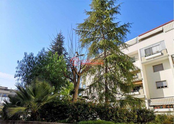 appartamento in vendita a Trani