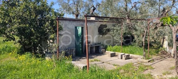 terreno agricolo in vendita a Trani