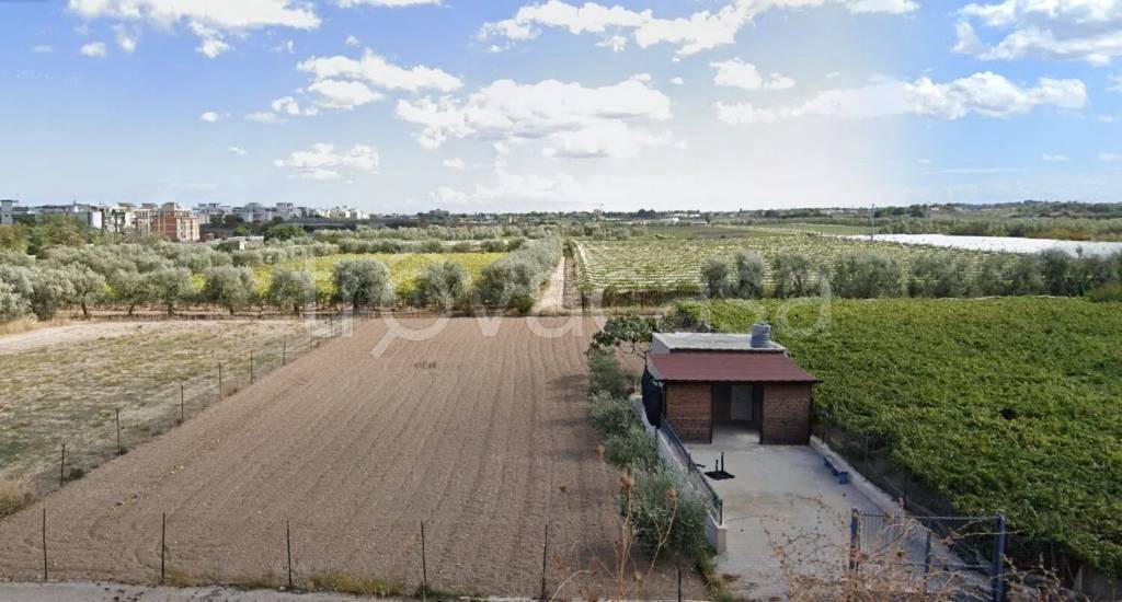 terreno agricolo in vendita a Trani
