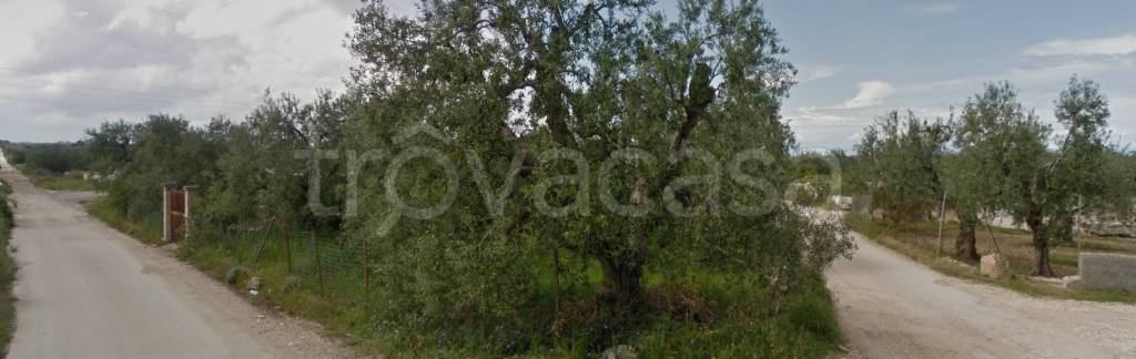 terreno agricolo in vendita a Trani