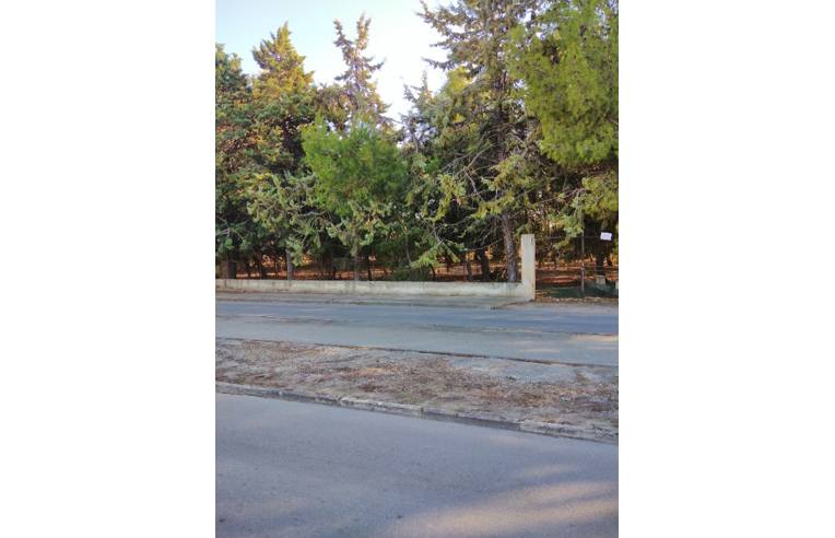 terreno agricolo in vendita a Trani