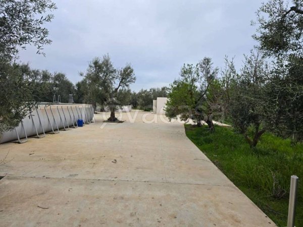 terreno agricolo in vendita a Trani