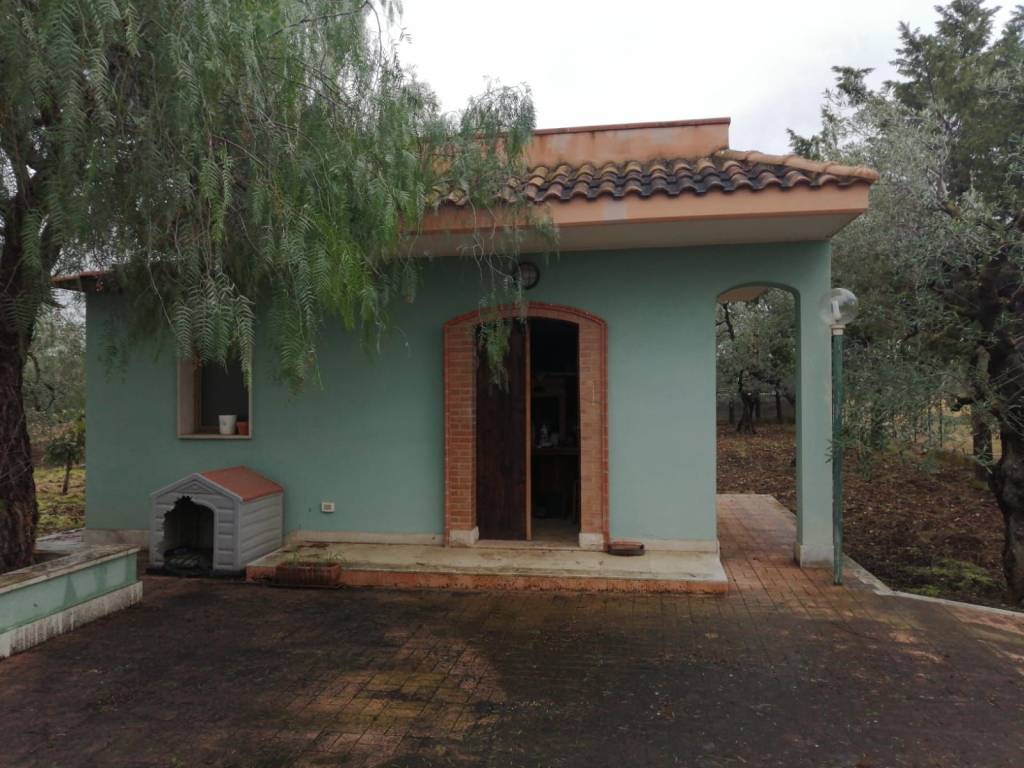 terreno agricolo in vendita a Trani