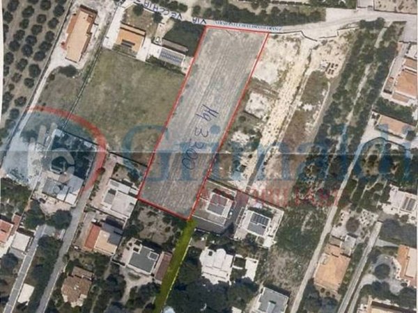 terreno agricolo in vendita a Trani