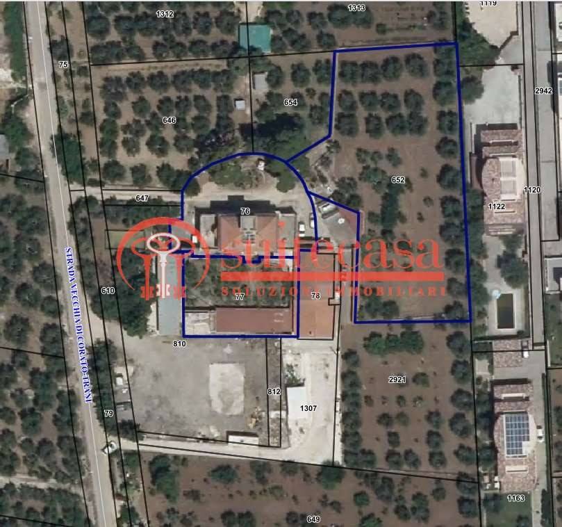 terreno agricolo in vendita a Trani in zona Borgo Medievale