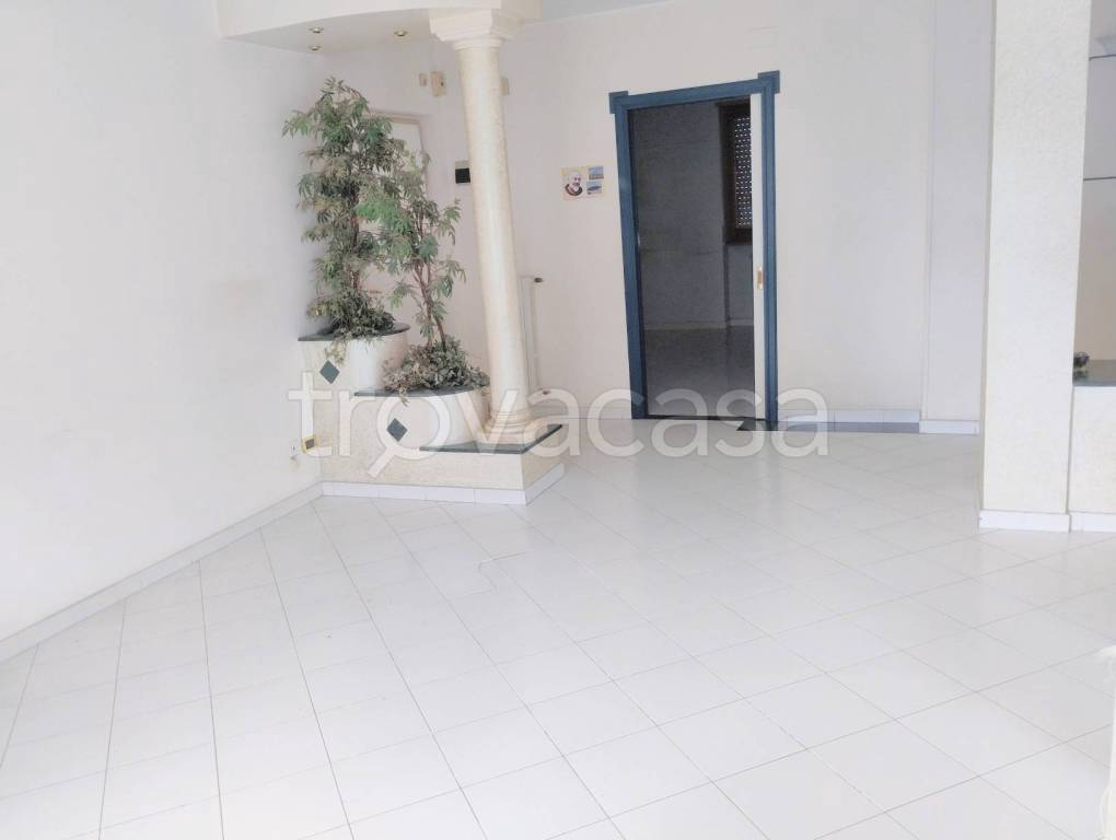 appartamento in vendita a Trani