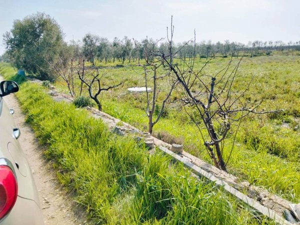 terreno agricolo in vendita a Trani