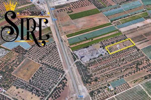 terreno agricolo in vendita a Trani