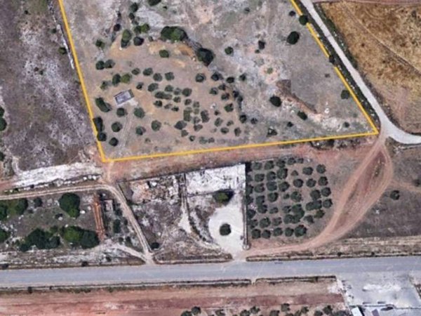 terreno agricolo in vendita a Trani