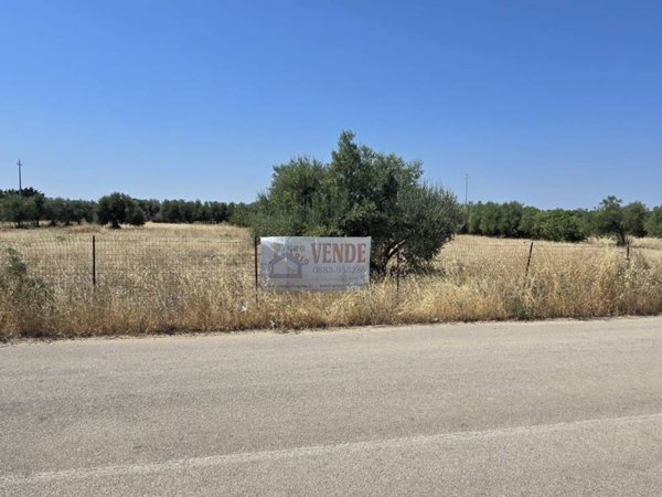 terreno agricolo in vendita a Trani