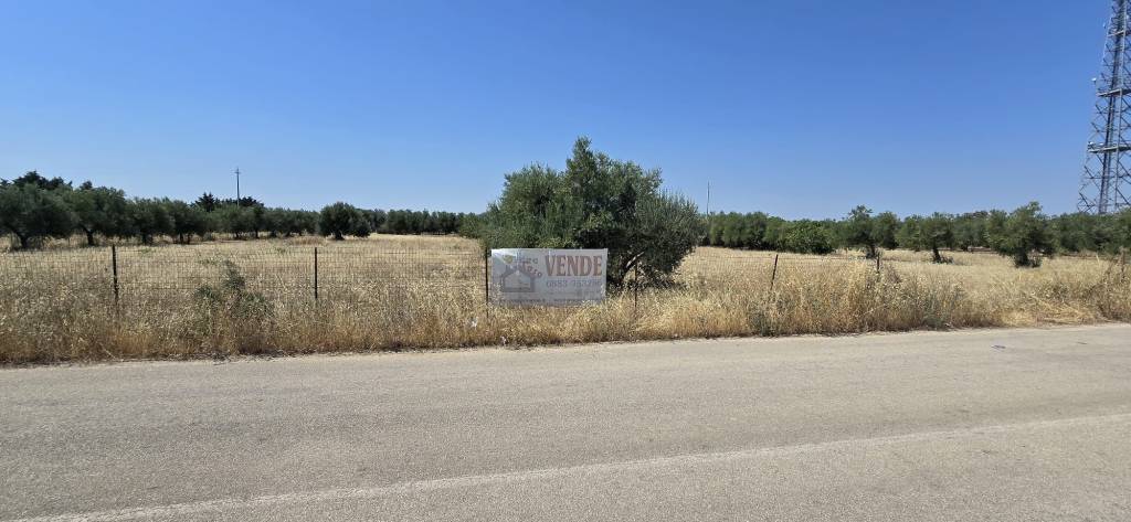 terreno agricolo in vendita a Trani