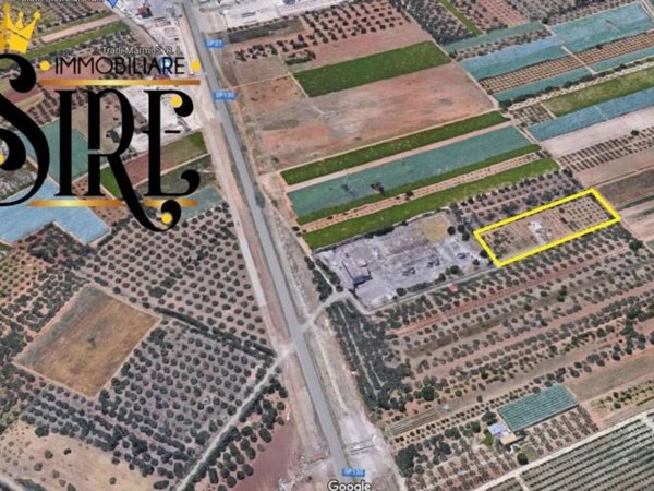terreno agricolo in vendita a Trani