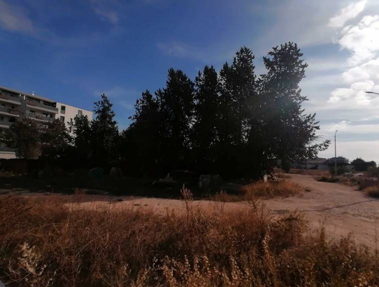 terreno agricolo in vendita a Trani