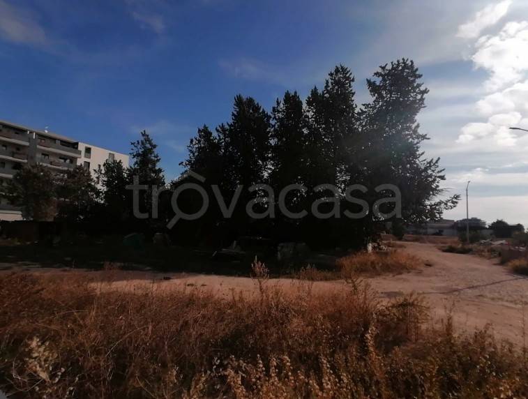 terreno agricolo in vendita a Trani in zona Borgo Medievale