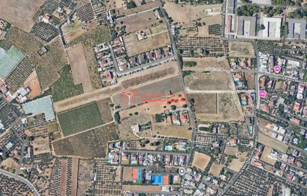 terreno agricolo in vendita a Trani in zona Capirro