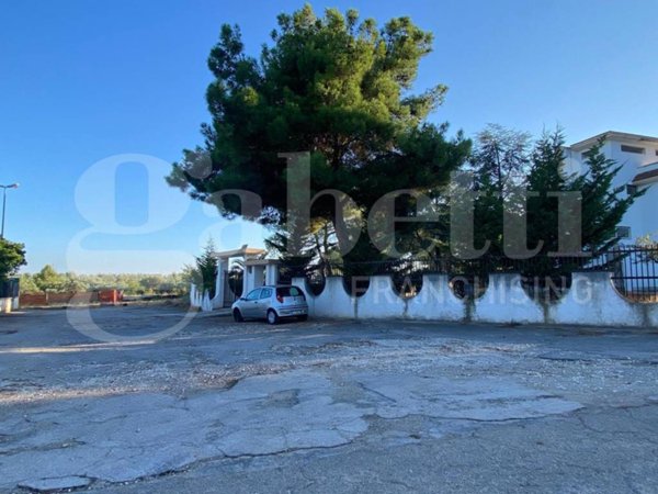 terreno agricolo in vendita a Trani in zona Borgo Ottocentesco