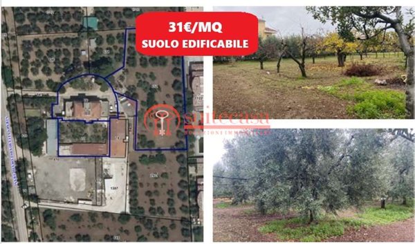 casa indipendente in vendita a Trani in zona Borgo Medievale