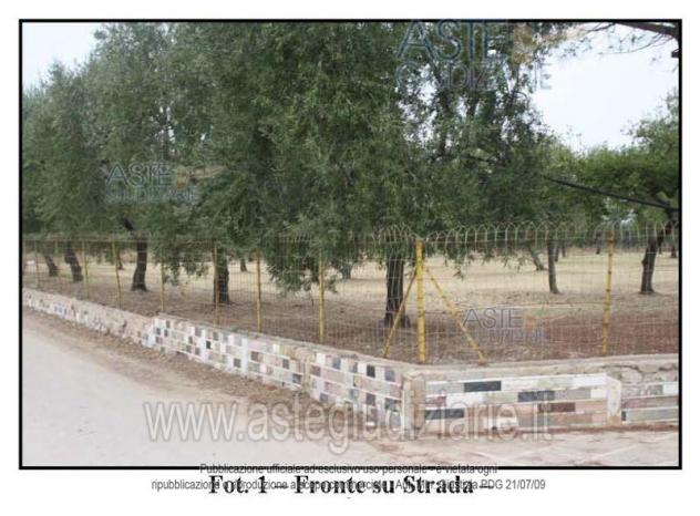 terreno agricolo in vendita a Trani