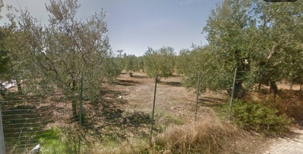 terreno agricolo in vendita a Trani